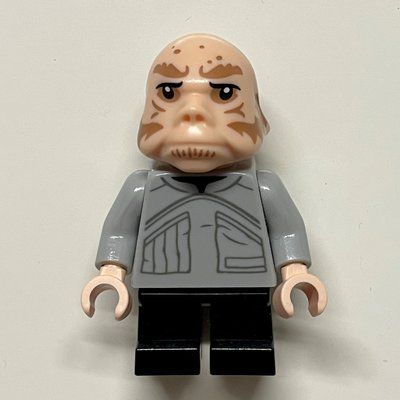 Figurine Ugnaught, Light Bluish Gray Jacket du set 75222