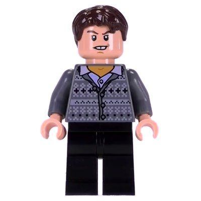 Minifigure Neville Longbottom, Dark Bluish Gray Sweater del set 4867