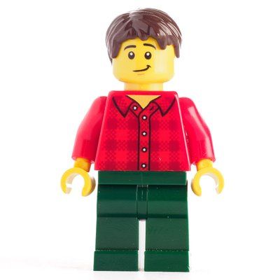 Minifigure Red Torso, Dark Green Legs Dark Brown Hair del set 31093