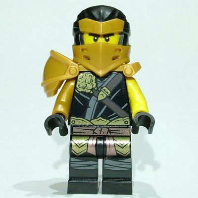 Figurine Cole / Hero Cole - Clip on Back du set 71720