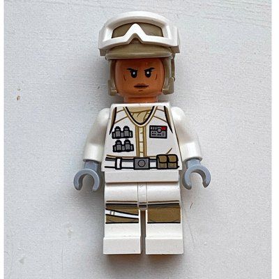 Minifiguur Rebel Trooper in Hoth Uniform, Dark Tan Hat, Nougat Head uit set 40557