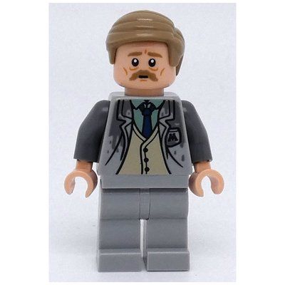Figurine Reg Cattermole / Ron Weasley du set 76403