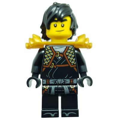 Figurine Cole du set 71861