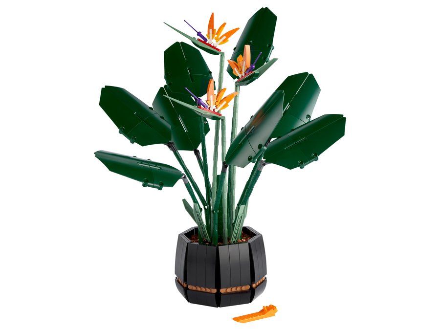 LEGO 10289 Bird of Paradise