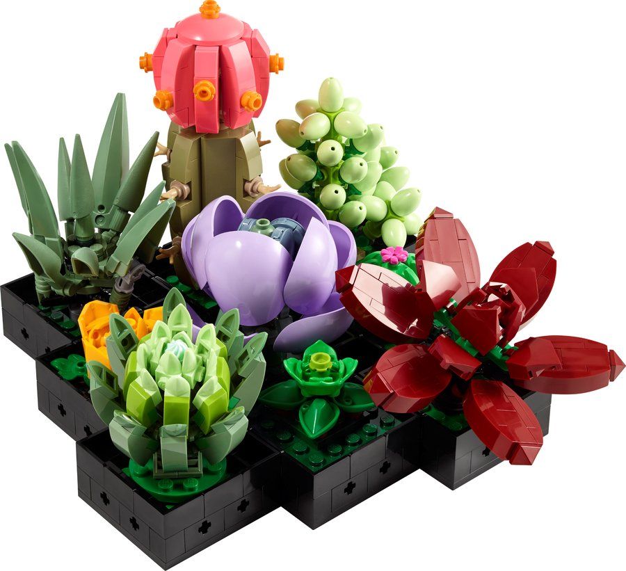 LEGO 10309 Les succulentes