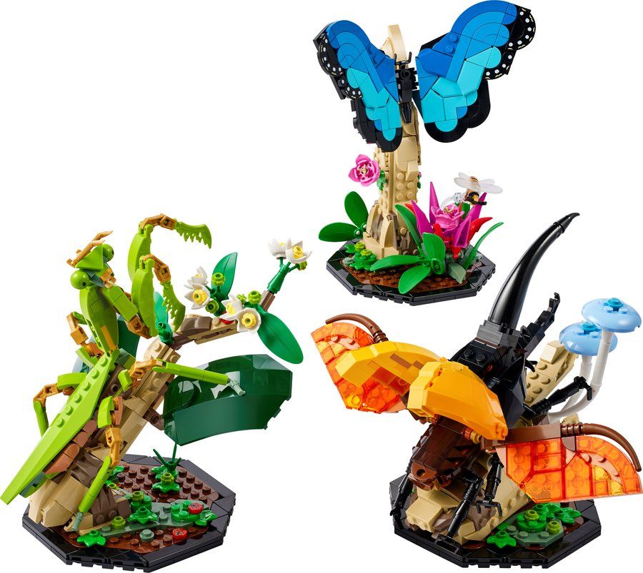 LEGO 21342 Collection d'insectes