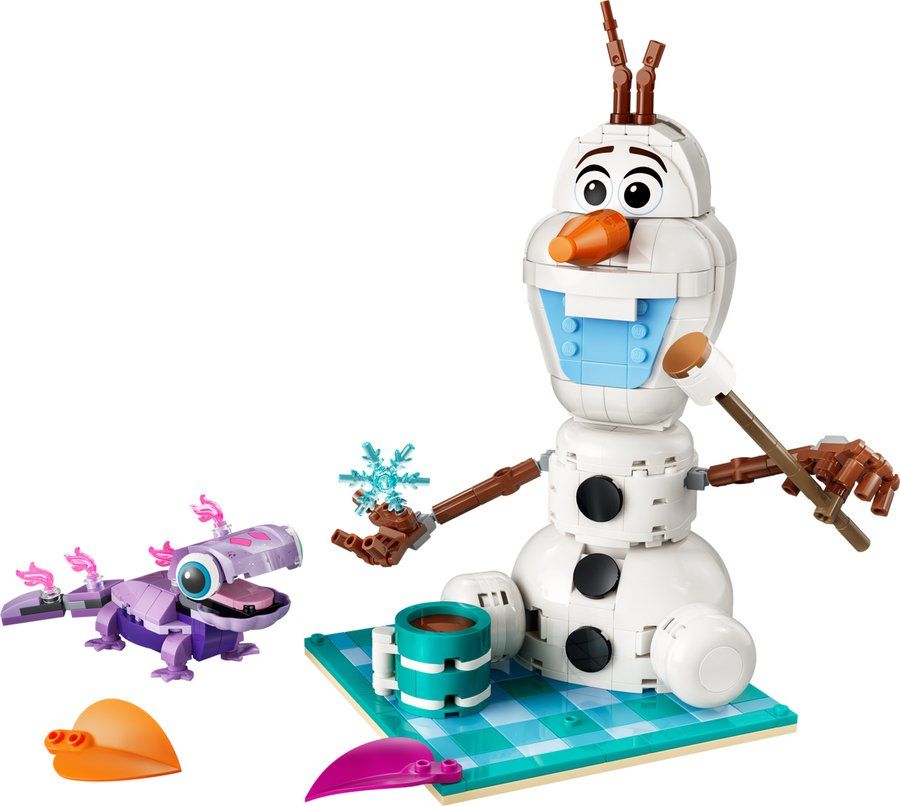LEGO 43287 Le Pique-Nique d’Olaf et Bruni
