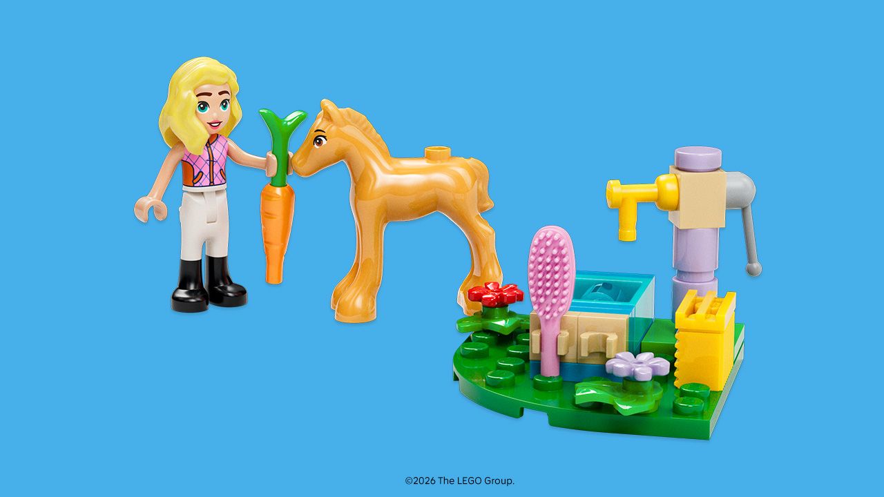 LEGO 6636931 First Friendship