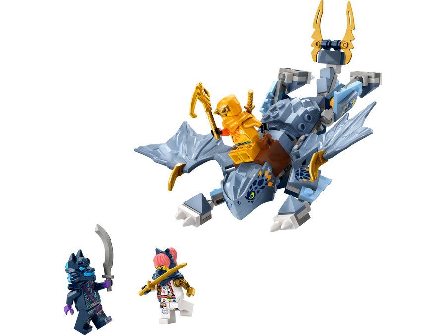 LEGO 71810 Le Jeune Dragon Riyu