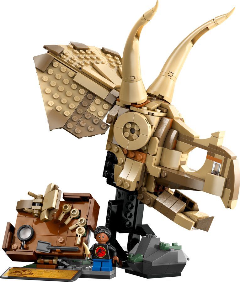 LEGO 76969 Les fossiles de Dinosaures : Le crâne du tricératops